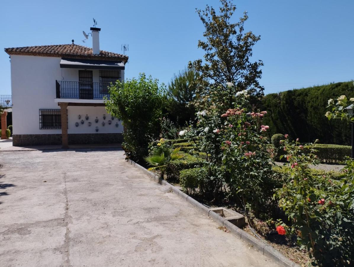 Villa Vivienda Rural Huerta Del Medio à Grenade Extérieur photo