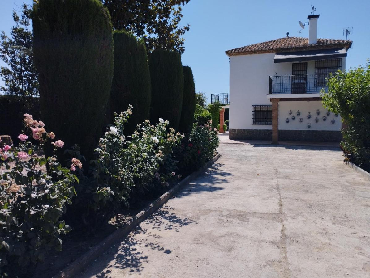 Villa Vivienda Rural Huerta Del Medio à Grenade Extérieur photo